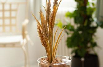 Qualys Vignoble parking, square view, close to city - Foto 14