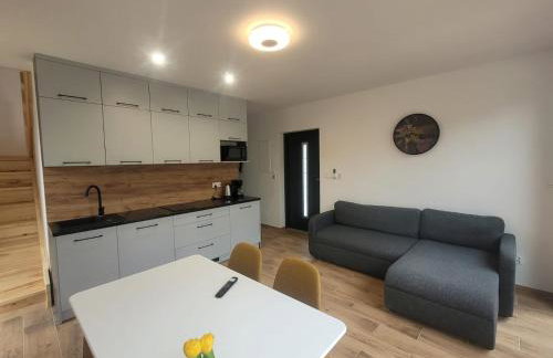 Parkcity SPA Domek z jacuzzi w górach - Photo 44