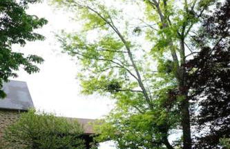 La vie calme - Foto 14