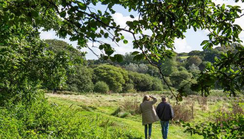 Manor Cottage at Cusgarne Manor, romantic, dog-friendly - Foto 5