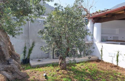 Case a Malfa - Alba & Rosina, Isola Salina - Foto 3