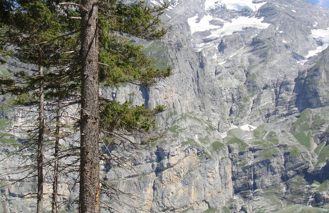 Luxurious Chalet in Habkern With Private Garden - Foto 24