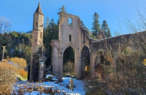 Ferienwohnung Tannenballett mit Panorama über den Schwarzwald in Baiersbronn - Foto 26