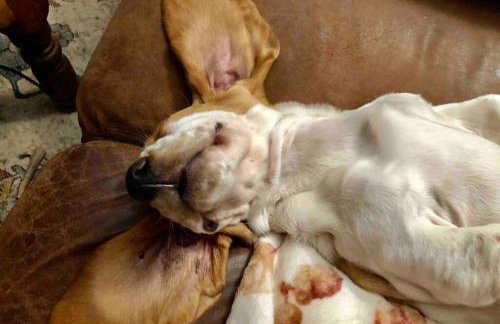 Amazing Loft on Horse Ranch - Foto 28