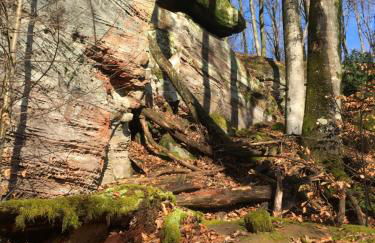 CASA Palatina - Foto 21