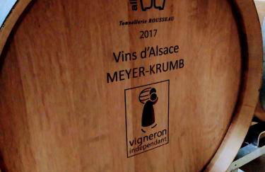 Alsace Appartements Meyer-Krumb - Foto 21