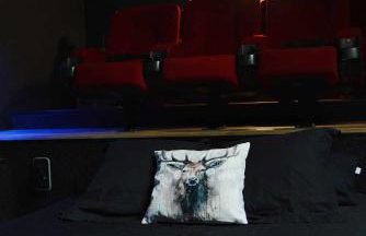 LE COCON l'unique expérience Cinéma room de la Grange Savoyarde 1km du Lac d'Annecy - Foto 6