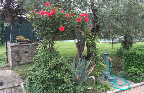 Le Coccole Del Trasimeno - Foto 79