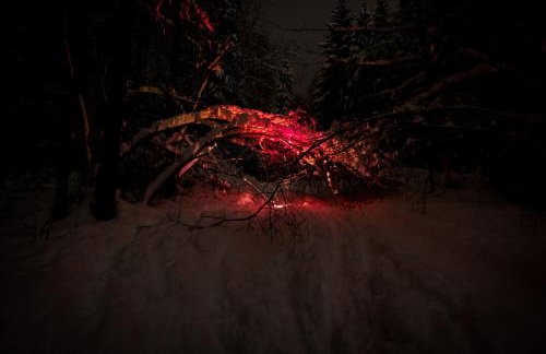 Nadleśniczówka - Bieszczadzka Zagroda - Foto 53