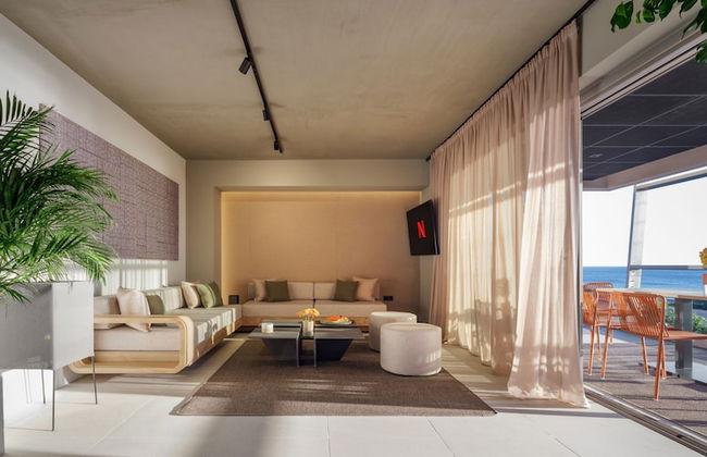 3 Olive Trees - Foto 50