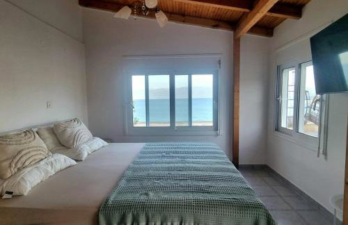 Elysian Blue - Foto 4