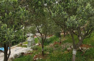 Apartments Katja - Foto 52