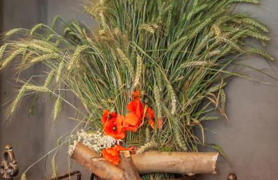 Agriturismo Cascina Scanna - Foto 29