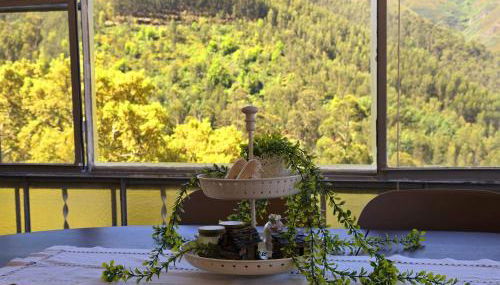 Adcasinha em Arganil - Foto 2