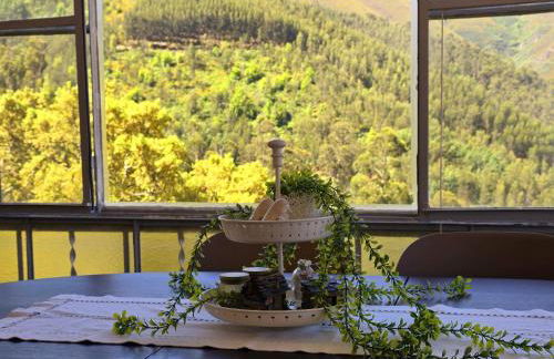 Adcasinha em Arganil - Foto 2