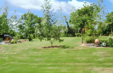 Appartement cosy aux Authieux Papion 15 m² avec jardin privatif - Foto 10