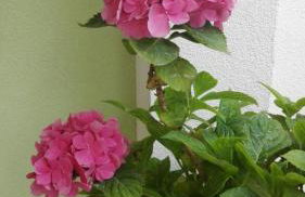 Apartment Peris - Foto 10