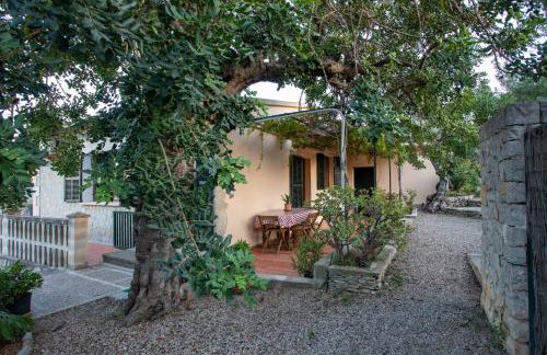 OLIVAR de S’HERETAT Trekking/ruta GR-221 (ETV/2099) - Foto 26