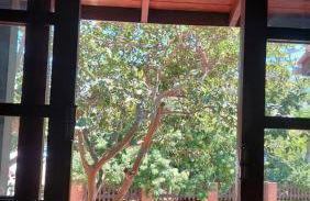 Armação - Florianópolis - 2 quartos de casal - Photo 2