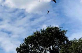 Wohnen direkt am Moselstrand - Foto 45