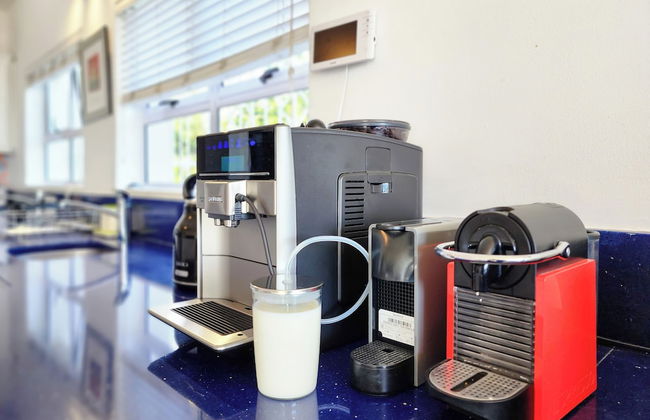 The Blue Emerald - Photo 22