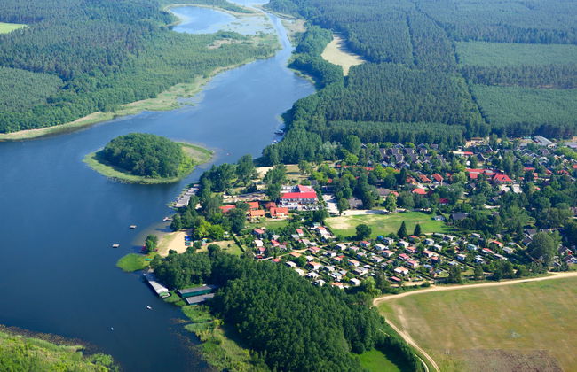 Seeschwalbe - Foto 11