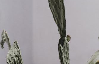 Chris&C Apartments - Foto 31