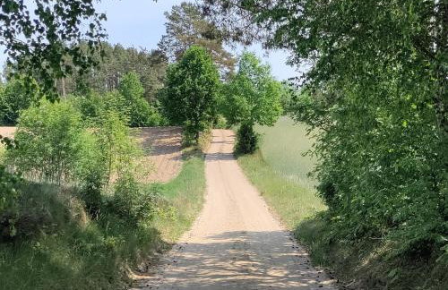 Widny Jaś zaprasza z psem nad jezioro na Kaszubach - Foto 33
