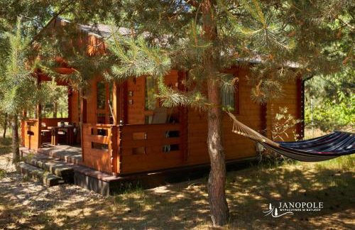 Siedlisko Janopole - Foto 60