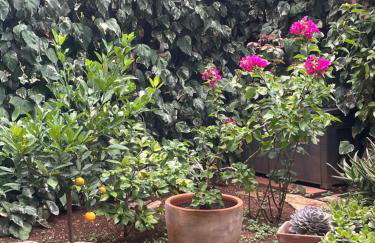 Garden4You - Apartment With Terrace And Garden Next To Marjan Park - 2 free bikes - Foto 23