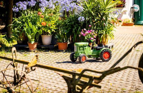 Waldblick Ferienhof Wolschendorf - Foto 21