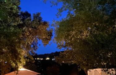 Il cielo in una stanza - Foto 45