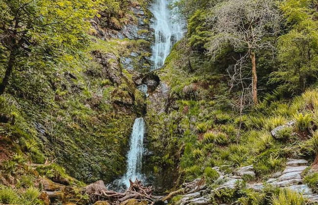 Dine & Rest, 1 Bedroom Apartment at Little India - Foto 8
