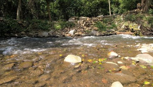 Yellow Cabin on the River cabin - Foto 4