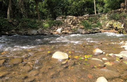 Yellow Cabin on the River cabin - Foto 4