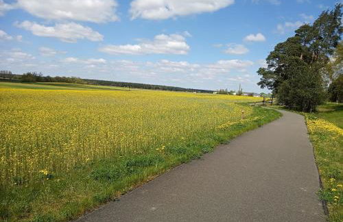 Ferienhaus mit Terrasse - 10 Minuten von Templin - Photo 23