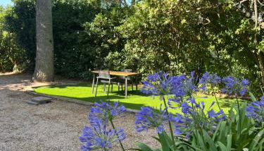 Le repaire magique - Foto 2