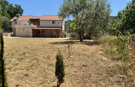 Dolce Terra - Photo 3