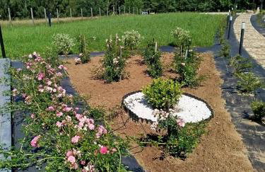 Domek letniskowy - Leśna chmurka - sauna, bania - Foto 12