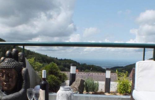 Schwarzwald Auszeit mit Sauna, Pool & Dachterrasse - Foto 14