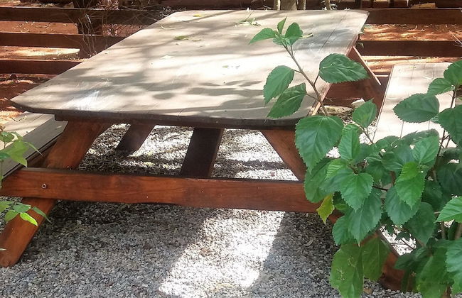 Woodland Gardens - Photo 73