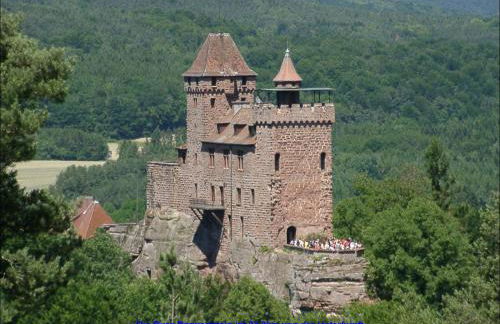 FeWo Pfälzer Felsenlandschaft - Foto 40