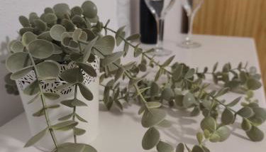 Orion Studios - Foto 3