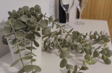 Orion Studios - Foto 3