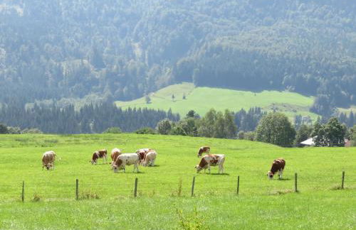 Ferienwohnungen Mooshäusl - Foto 16