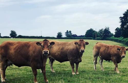 Coach House - detached cottage within 135 acres - Foto 42