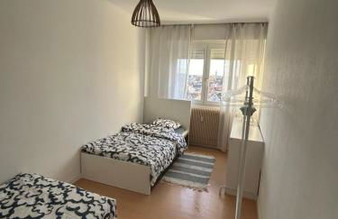 Les 5 pièces sur Strasbourg - Foto 8