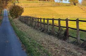 Ferienwohnung A&P - Foto 20