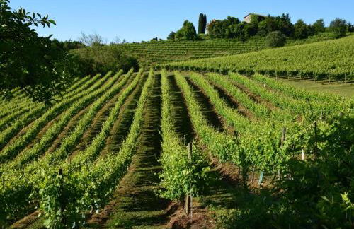 Apartment Anwesen mit Schwimmbad by Interhome - Foto 34