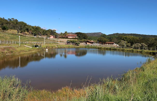 Fazenda Santa Amalia - Foto 62